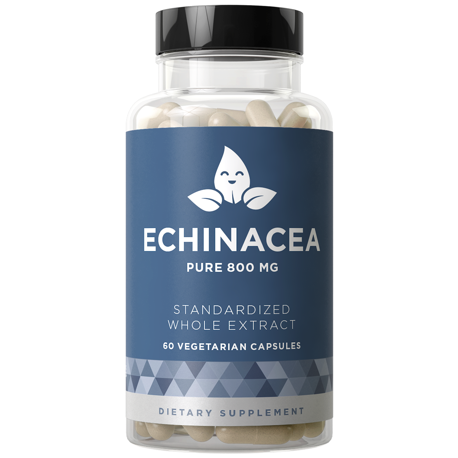 ECHINACEA PURE 800 MG Immunity